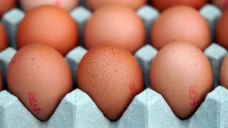 Яйца от Украйна и Балканите заливат пазара у нас! Има ли изход