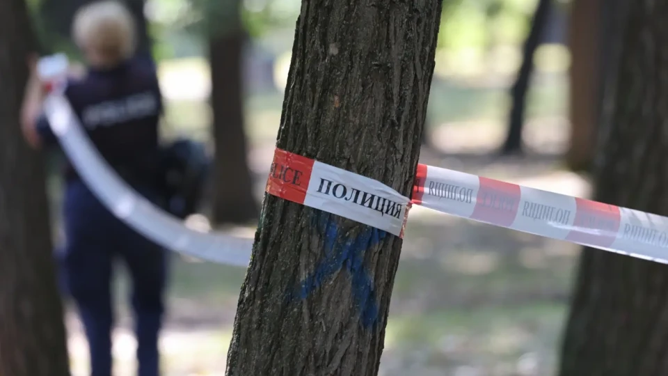 Голям кютек в Сандански! Много алкохол и счупени глави | StandartNews.com