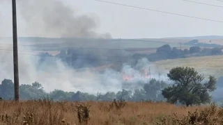 Пожар унищожи десетки животни във ферма, човек е жестоко пострадал