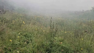 Пожарът в Рила бушува. Обхвана над 100 декара