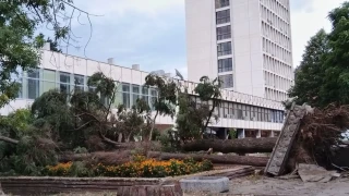 В Кюстендил е страшно! Кметът зове - който може, да помага