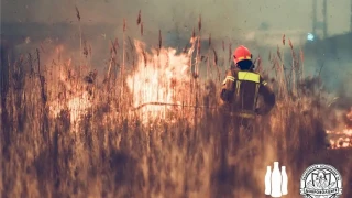 Съюз срещу пожарите: Фондацията на Кока-Кола ХБК подкрепи с 200 хил. лв. НАДРБ