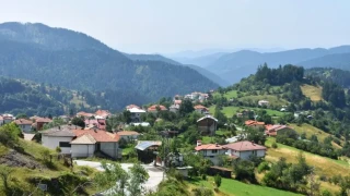 Родопско село стана магнит за китайски туристи