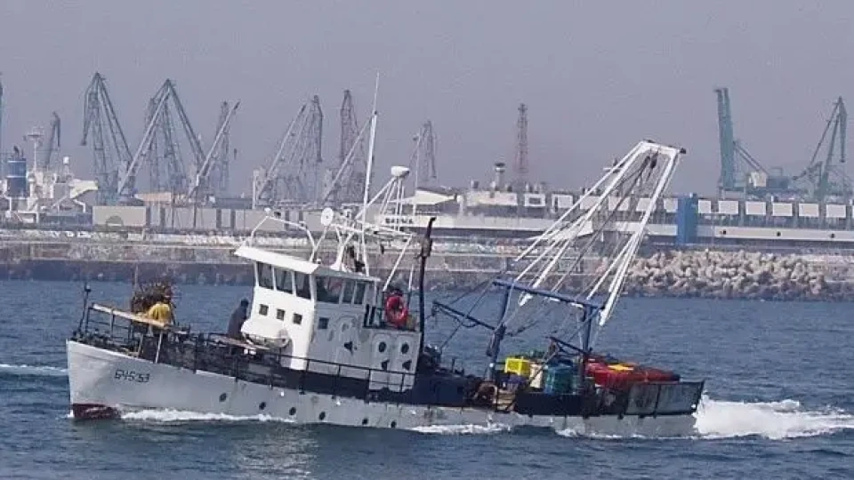 Нещо уникално изскочи от морето ни. Рибарите се изумиха /СНИМКА/ | StandartNews.com