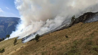 Много опасен пожар у нас се разраства