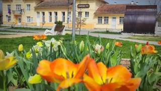 Наше селце стана рай! Изкупиха всички имоти