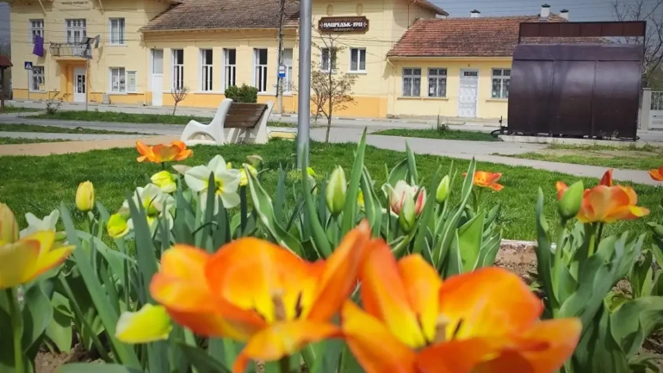 Наше селце стана рай! Изкупиха всички имоти | StandartNews.com