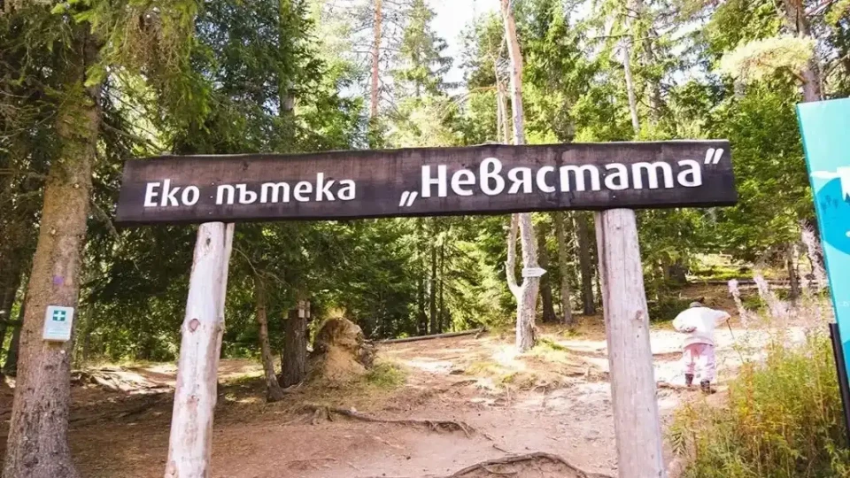 Ужасяваща находка на екопътека "Невястата“. Първи подробности | StandartNews.com