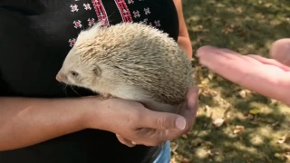 Уникална гледка в наше село! Случва се за първи път в България