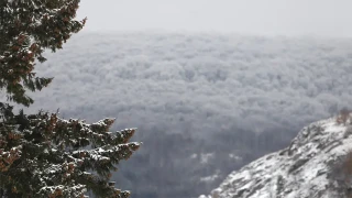 Времето с рязък завой. Първи сняг