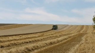 Драма с нивите. Рязък скок на таксите