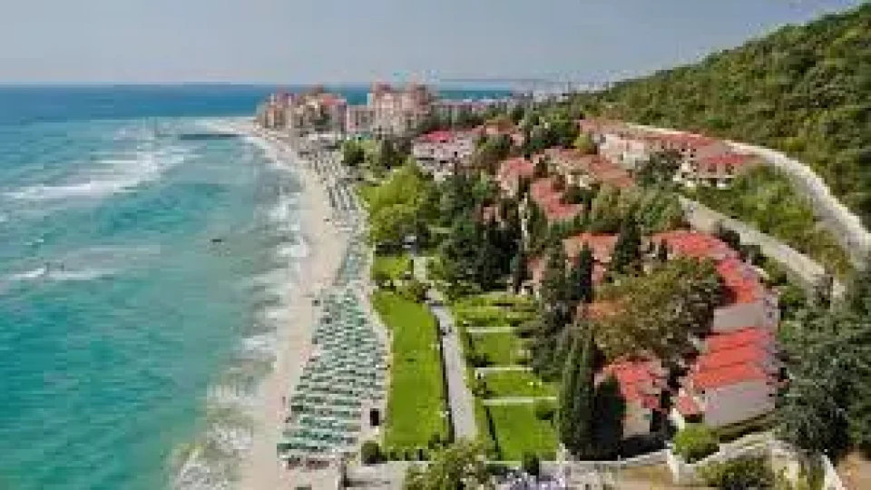 Елените са последната рожба на соца. Кой тогава е виновен? | StandartNews.com