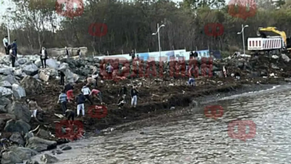 Морето край Царево завря от столевки. Чудо невиждано /ВИДЕО/ | StandartNews.com